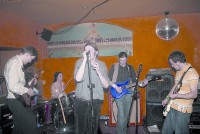 TheMonkeyBrains